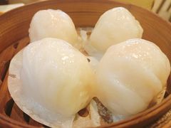 添运来虾饺皇-添运来(茶园奥园广场店)