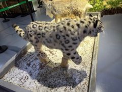 -北京麋鹿生态实验中心