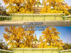 -北京石刻艺术博物馆