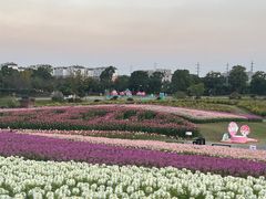 -径山花海