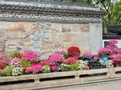 -上海醉白池公园