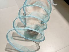 -守诺宠物医院·眼科· 神经外科·爬宠专科(虹口店)