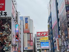 -秋叶原电器街