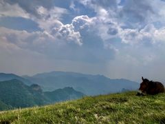 -北京灵山风景区