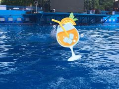 -杭州浪浪浪水公园