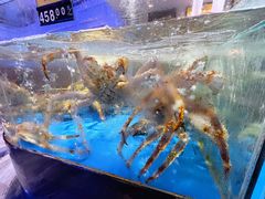 -蟹之国·精品蟹料理(极地店)