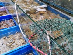 水产区-香满居张记小厨私房菜(青岛站店)