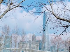 -黄浦江游览(十六铺码头)