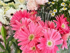 -花屿鲜花(淡水店)