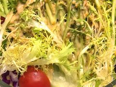 华悦色拉拌苦菊-华悦酒家