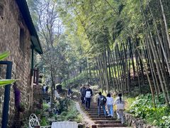 -莫干山风景区