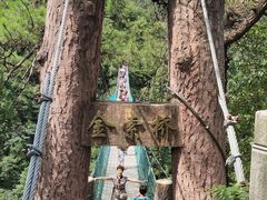 -遂昌金矿国家矿山公园