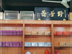 -野荸荠