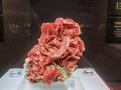 -湖南省地质博物馆