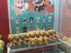 -LLJ夹机占(清河万象汇店)