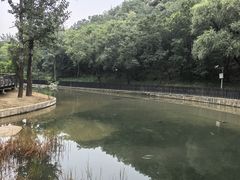 -白水寺森林公园