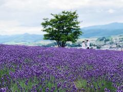 -富田农场