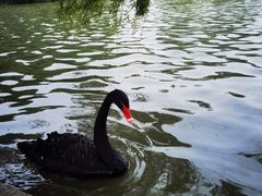 -东华大学(松江校区)