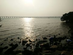 -宝安西湾红树林湿地公园