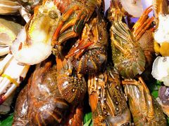 冰冻龙虾-蓝钻·国际美食海鲜自助百汇(西直门店)