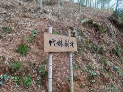 -杨家堂村