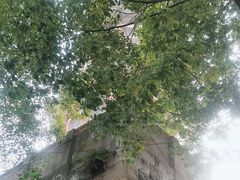 -中国彩灯博物馆