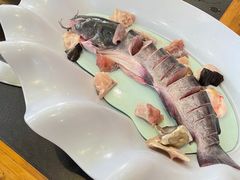 黑龙鱼-老刘生态大鱼坊铁锅炖鱼(赛马场店)