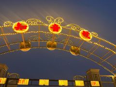 -武汉知音号