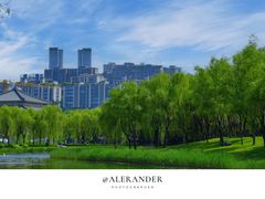 -西安城墙·碑林历史文化景区