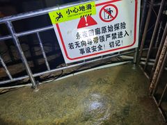 -地心探险极地