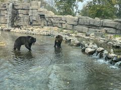 -北京野生动物园