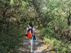 -阳台山自然风景区