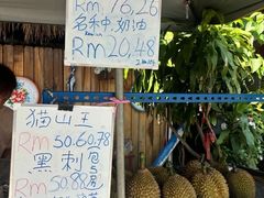 -大树下海鲜饭店