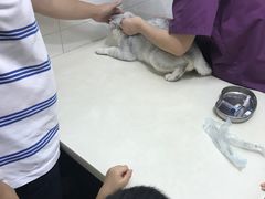 -甄爱宠物医院(疏影路店)
