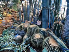 -国家植物园南园