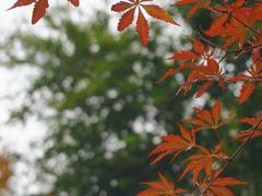 -东湖磨山景区