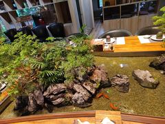 -森味薪火烧•烧鸟居酒屋•日本料理(望京店)
