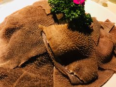捞派毛肚-海底捞火锅(顺义华联店)