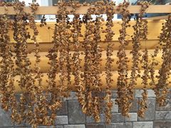 -粘豆包柴火铁锅炖