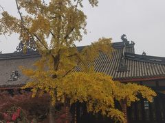 -古大圣慈寺