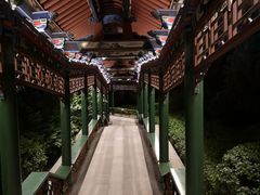 -迎泽公园