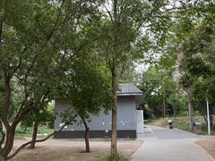 -绿堤公园