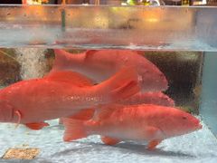 -阿伟海鲜楼·福建菜(延寿店)