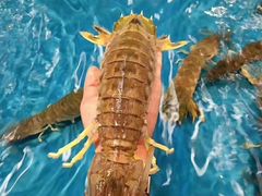 -宝燕海鲜(好爱店)