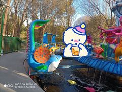 -长白岛森林公园