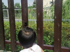 -上方山森林动物世界