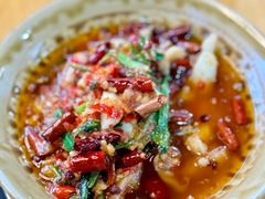 呛鱿鱼-杨合林啊兰烤鱼