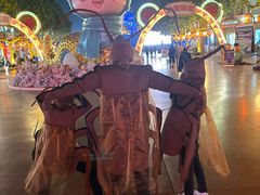 -青岛方特梦幻王国