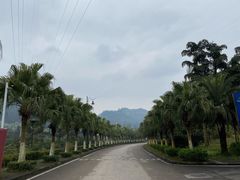 -南山植物园