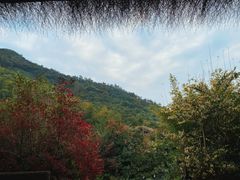 -看见远方·莫干遥远的山民宿